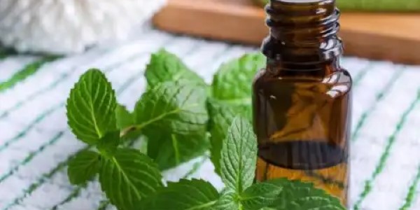 تصویر 3 از قیمت عرق گیاهی نعناع + خرید باور نکردنی